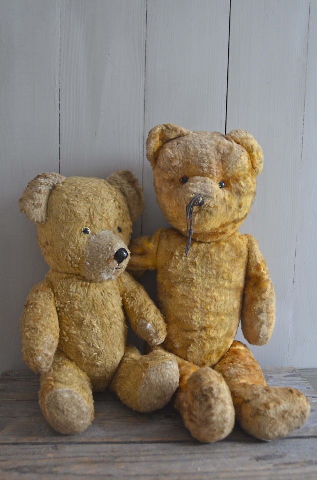 Teddybeer